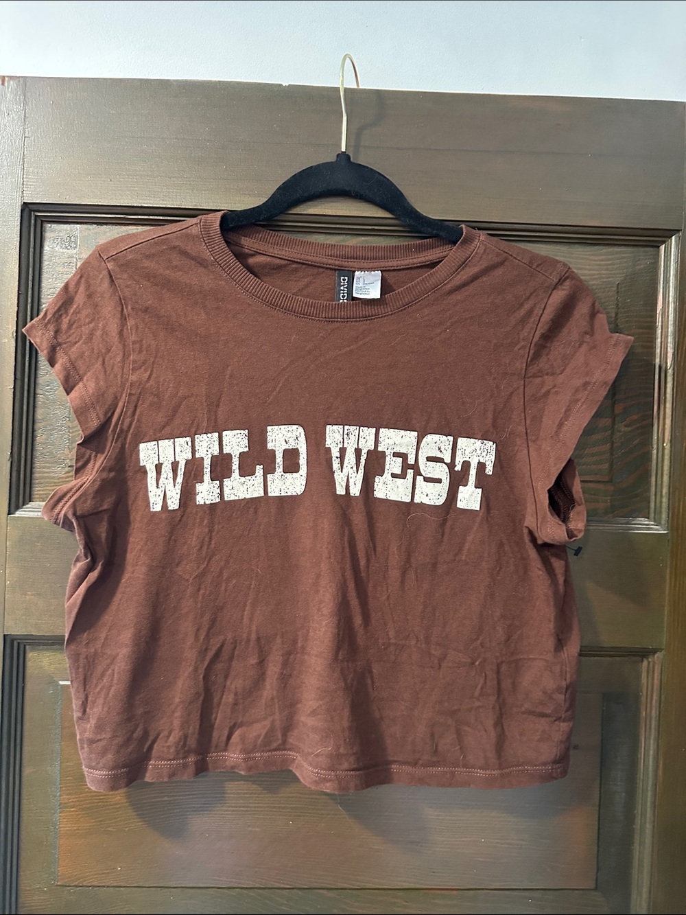 H&M Brown 'Wild West' Graphic Crop Tee
